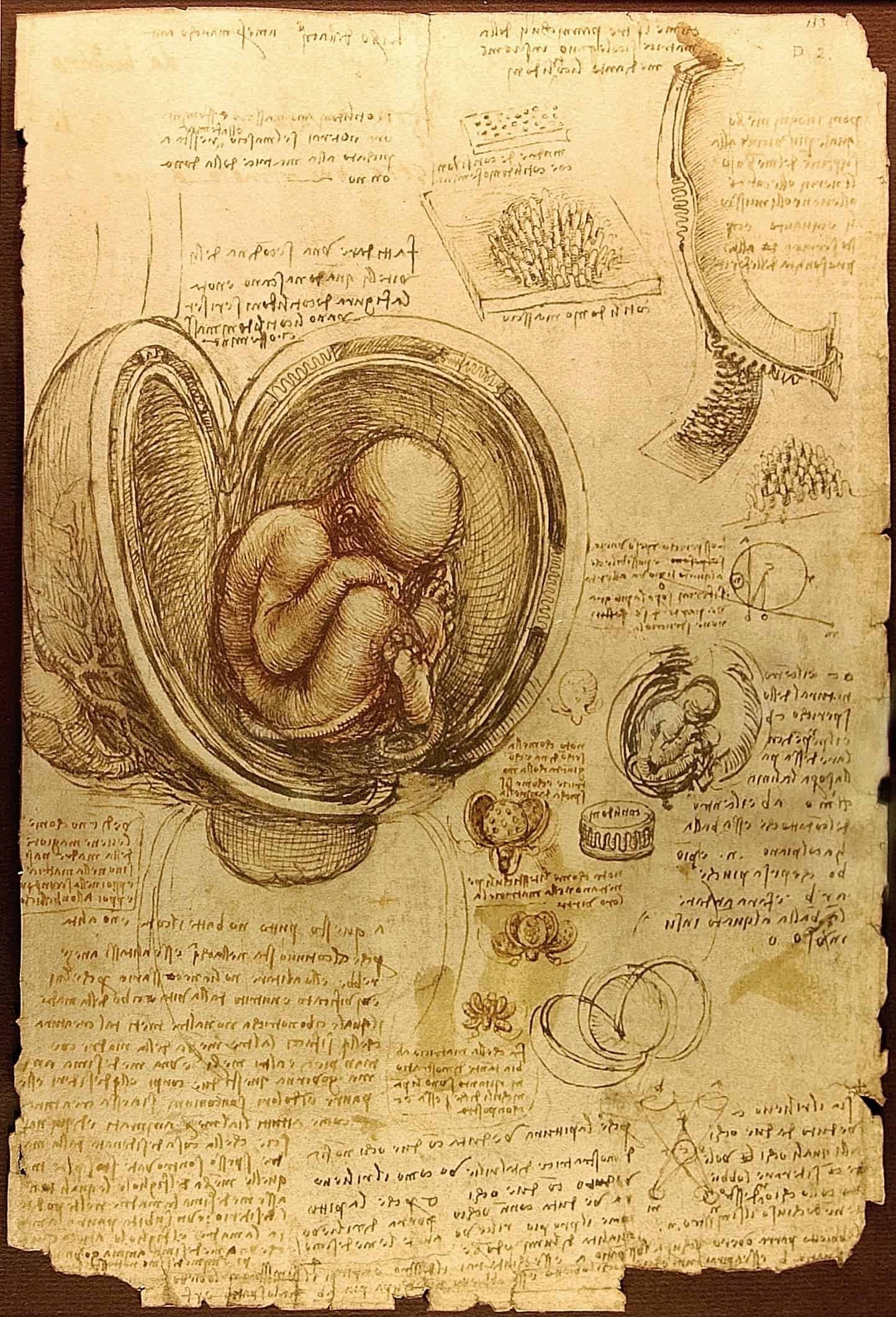 leonardo da vinci notebook page